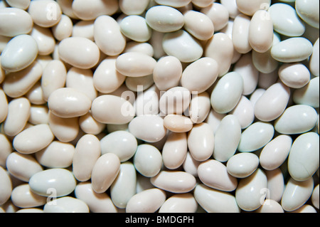 Amandes enrobées de sucre blanc close up Banque D'Images