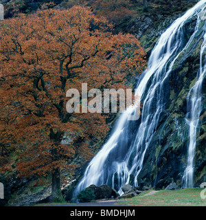 Powerscourt Waterfall near Enniskerry, comté de Wicklow, en Irlande Banque D'Images