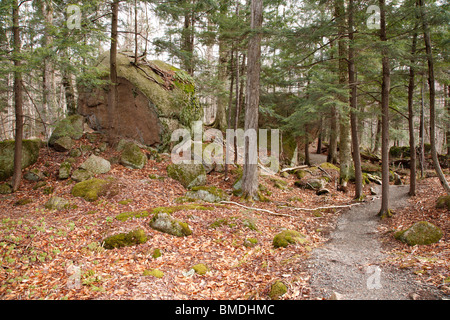 Franconia Notch State Park - Glacial rochers sur un sentier à la gorge en canal de Lincoln, New Hampshire, USA Banque D'Images