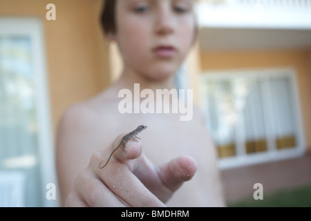 Close-up of Boy with Lizard sur le doigt Banque D'Images