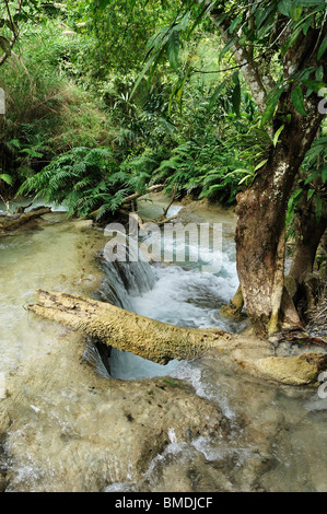 Tat Kuang Si, Province de Luang Prabang, Laos, Louangphabang Banque D'Images