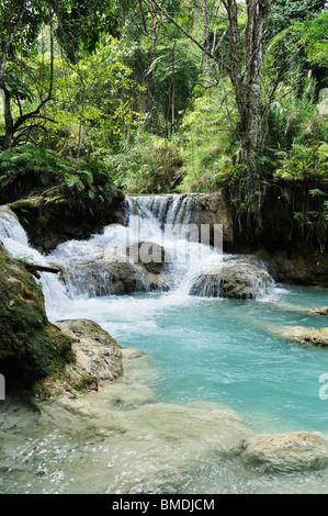 Tat Kuang Si, Province de Luang Prabang, Laos, Louangphabang Banque D'Images