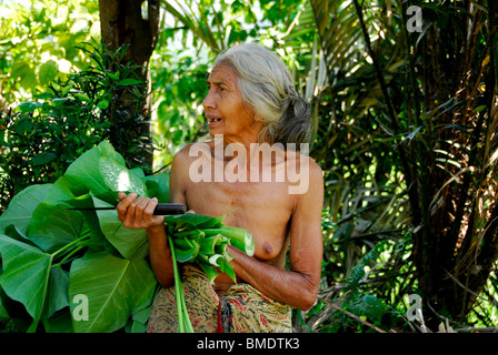 Bali vieille dame , collecte de fourrage pour ses porcs , sembrian , village , bali lovina bali , Indonésie , Banque D'Images