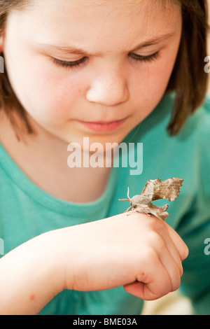 Jeune fille actuellement avec attention un peuplier hawk moth sur sa main Banque D'Images