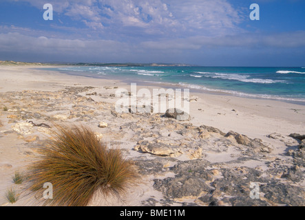 Balles Beach [Seal Bay Conservation Park] [Kangaroo Island Australie du Sud] Banque D'Images