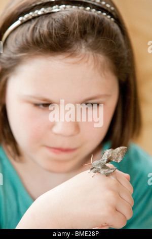 Jeune fille actuellement avec attention un peuplier hawk moth sur sa main Banque D'Images