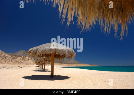 Plage avec parasols, Ventana Bay, El Sargento, Golf de Californie, La Mer de Cortez, Baja California Sur, Mexique Banque D'Images