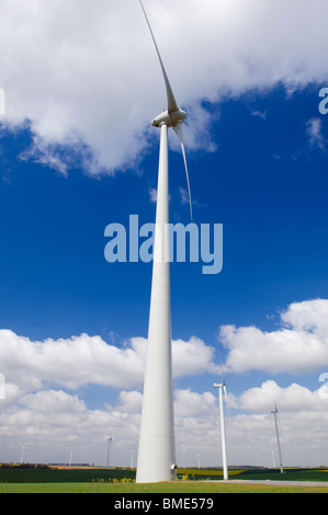 Éoliennes dans un champ de canola jaune contre un blue cloudy sky Banque D'Images