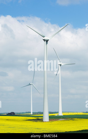 Éoliennes dans un champ de canola jaune contre un blue cloudy sky Banque D'Images