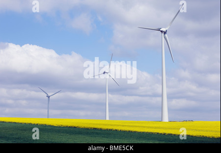 Éoliennes dans un champ de canola jaune contre un blue cloudy sky Banque D'Images