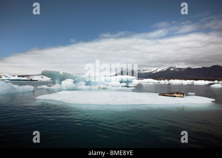 La glace flottante avec elle sur des animaux Banque D'Images