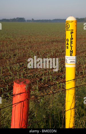 Shelbyville, Indiana - Un marqueur à la lisière d'un champ agricole met en garde d'un gazoduc. Banque D'Images