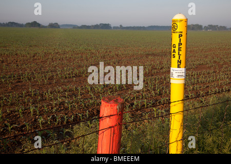 Shelbyville, Indiana - Un marqueur à la lisière d'un champ agricole met en garde d'un gazoduc. Banque D'Images