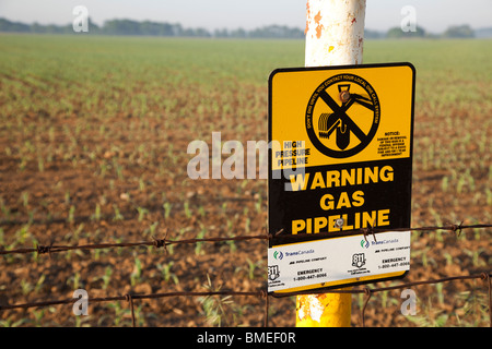 Shelbyville, Indiana - Un marqueur à la lisière d'un champ agricole met en garde d'un gazoduc. Banque D'Images