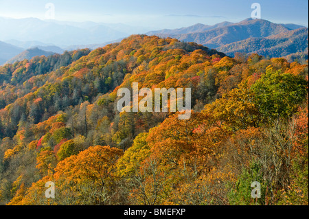 Amérique du Nord, USA, Caroline du Nord, vue de brouillard couvert Grand Smokey Mountains National Park, elevated view Banque D'Images