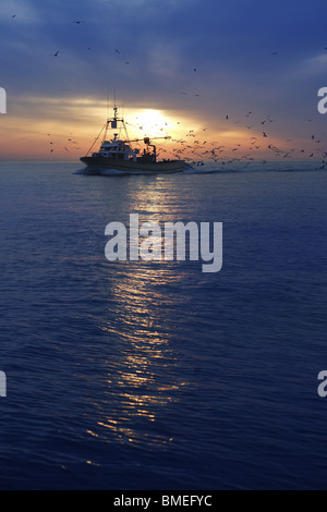 Bateau de pêche professionnelle et mouette tourner port arrière sur le coucher du soleil lever du soleil Banque D'Images