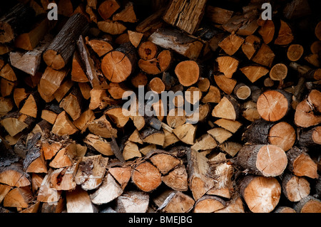 Stock de bois de chauffage séché haché pour la gravure. Banque D'Images