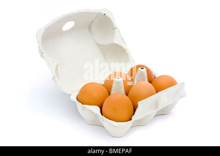 6 œufs dans un fort isolé sur fond blanc Banque D'Images