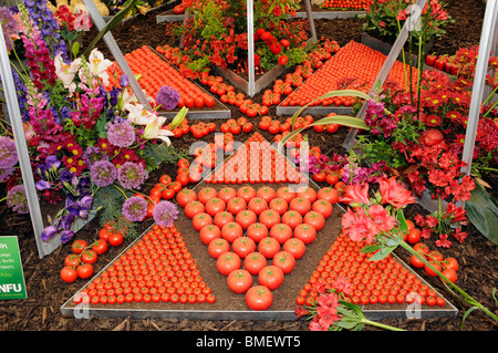 Syndicat national des cultivateurs à l'affichage, Chelsea Flower Show 2010 Banque D'Images