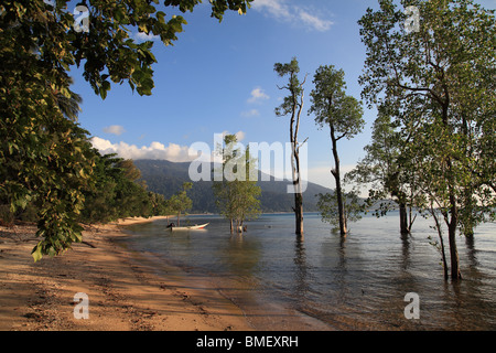 Ayer Batang (ABC), Pulau Tioman, Malaisie Banque D'Images