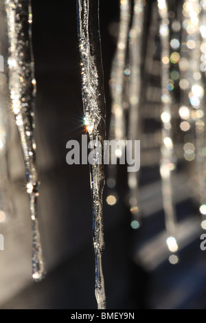 Close up of icicles Banque D'Images