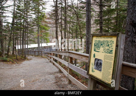 - Franconia Notch State Park, la piscine qui est situé le long de la rivière Pemigewasset dans Lincoln, New Hampshire, USA Banque D'Images