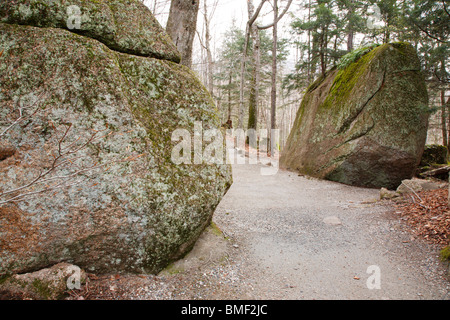 Franconia Notch State Park - Glacial rochers sur un sentier à la gorge en canal de Lincoln, New Hampshire, USA Banque D'Images