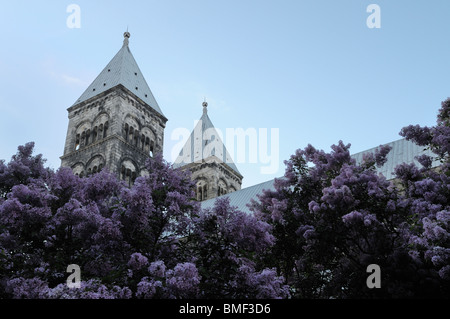 Cathédrale de Lund Suède dans les lilas Banque D'Images