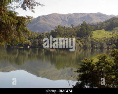 L'Inde, le Kerala, Munnar, Malupetty Lake, attrayant Paysage au bord du lac Banque D'Images