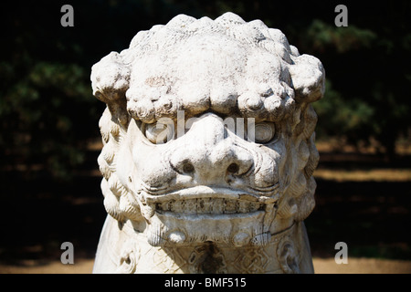 Lion de pierre sur la Voie Sacrée, dynastie Ming Tombs, Beijing, Chine Banque D'Images