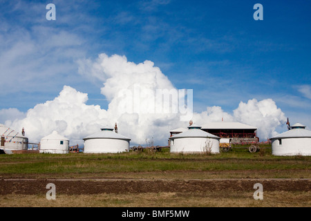 En forme de yourte chambres d'hôtel à Hulun Buir Hailar Hulunbuir, prairie,, région autonome de Mongolie intérieure, Chine Banque D'Images