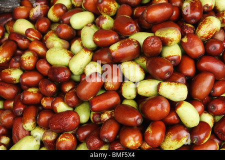 Chinois frais dates, Pingyao, Taiyuan, Province de Shanxi, Chine Banque D'Images