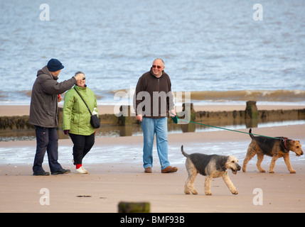 Groupe de personnes marcher avec les chiens sur la plage Banque D'Images