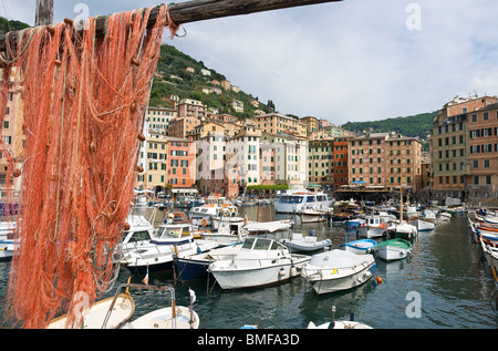 Le port de Camogli, célèbre petite ville de la Ligurie, Italie Banque D'Images