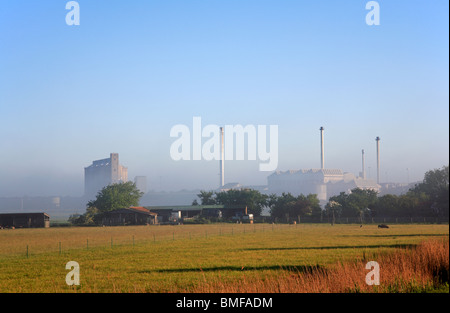 Une vue de l'atmosphère de l'usine de sucre britannique à Cantley, Norfolk, Angleterre, Royaume-Uni, vu à travers la brume matinale. Banque D'Images