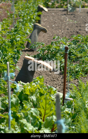 Bottes Wellington sur l'attribution Banque D'Images