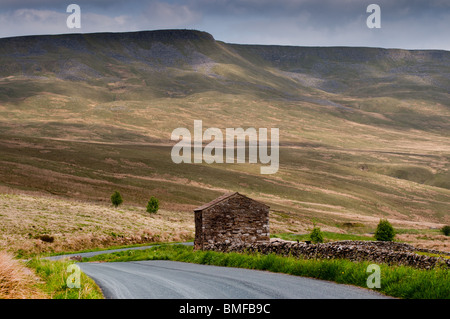 Dans la vallée de Mallerstang Cumbrian Fells le long de la B6259 Banque D'Images