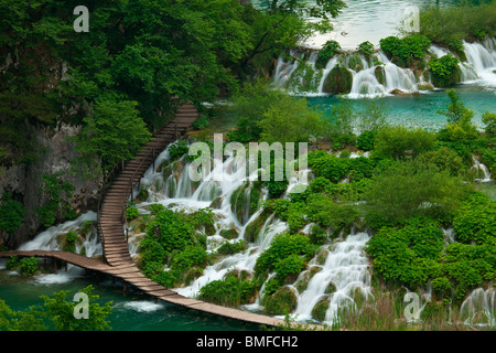 L'eau s'écoule en cascades dans le lac du Parc National de Plitvice (Croatie) Banque D'Images