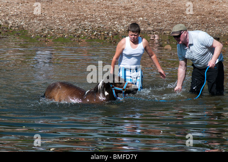 Coulisses de Appleby Horse Fair Juin 2010 Banque D'Images