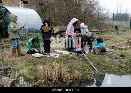 Groupe d'enfants avec leur enseignant étang trempage, Hackney, Londres UK Banque D'Images