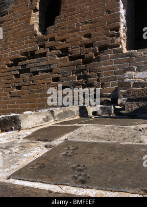 Petites traces d'animaux sur les pierres de la Grande Muraille de Simatai, salon, Chine Banque D'Images