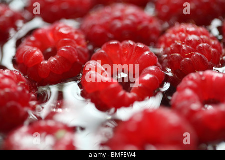 Framboise Banque D'Images