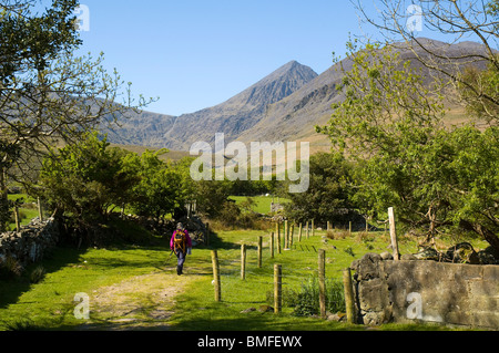 Carrauntoohil (plus haute montagne d'Irlande - 3414ft , 1040m) d'Hag's Glen, Macgillycuddy Reeks, Irlande Banque D'Images