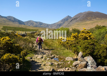 Carrauntoohil (plus haute montagne d'Irlande - 3414ft , 1040m) d'Hag's Glen, Macgillycuddy Reeks, Irlande Banque D'Images