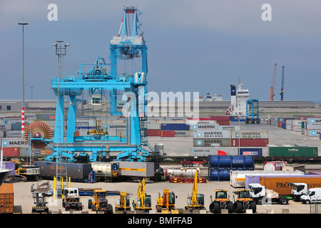 Les grues d'un terminal à conteneurs au port de Zeebrugge, Belgique Banque D'Images