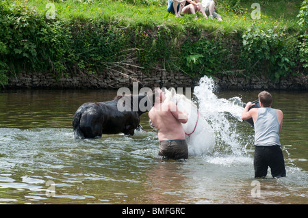 Coulisses de Appleby Horse Fair Juin 2010 Banque D'Images