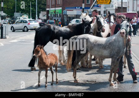 Coulisses de Appleby Horse Fair Juin 2010 Banque D'Images