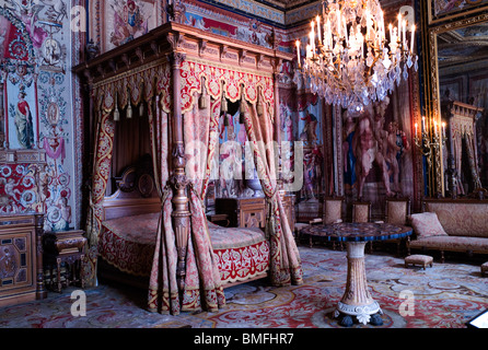 L'intérieur, le château de FONTAINEBLEAU (16C), FRANCE Banque D'Images