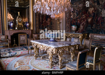 L'intérieur, le château de FONTAINEBLEAU (16C), FRANCE Banque D'Images