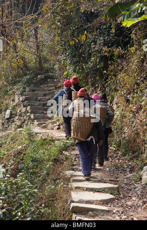 Tujia gens portant panier de bambou pierre marche route pavée, Xiangxi préfecture autonome tujia et miao, Hunan, Chine Banque D'Images